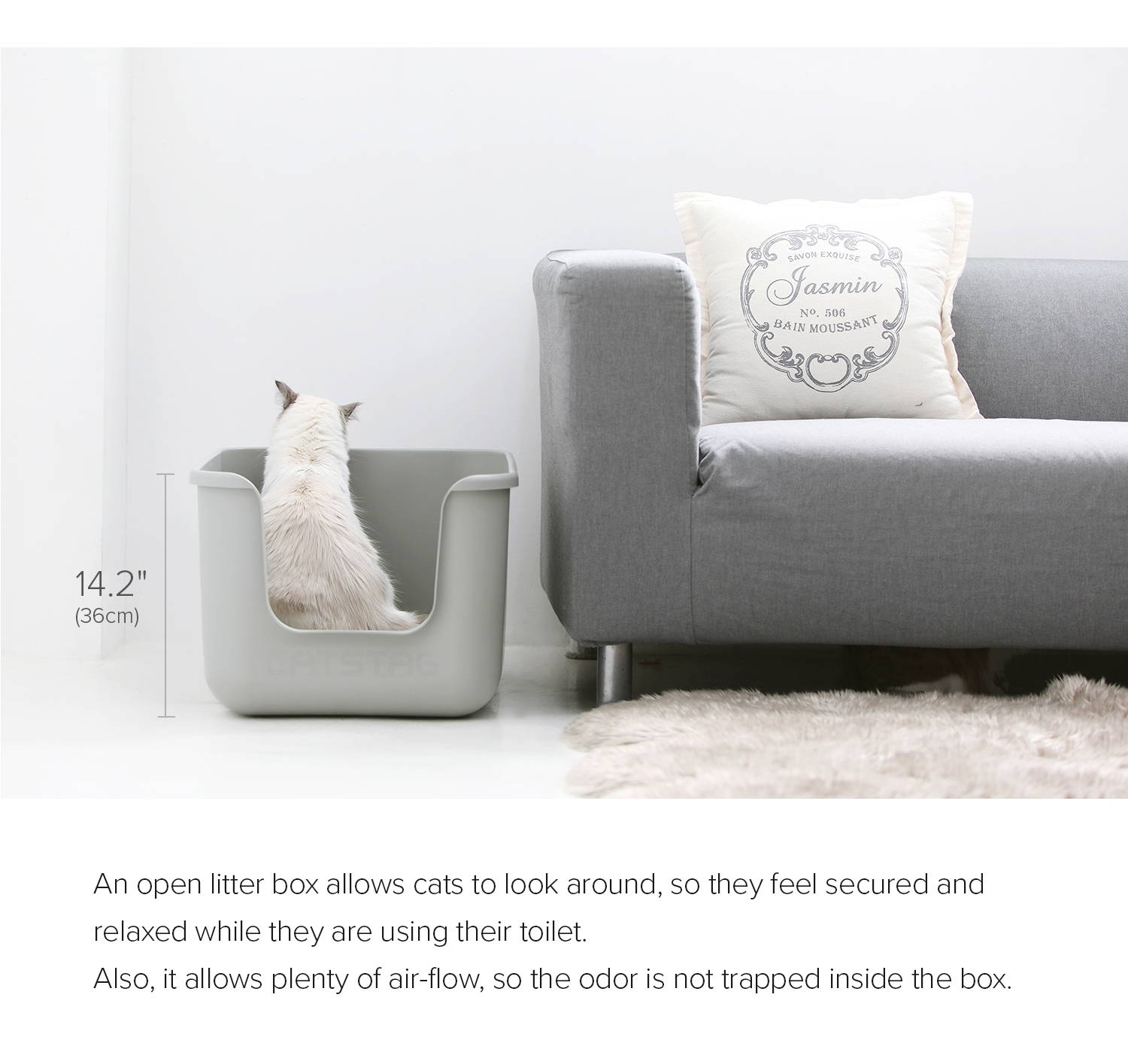Myorae Box cat litter box Pit A Pet